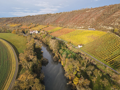Bild: Saalhäuser Weinberge (Foto: Stiftung Schulpforta)