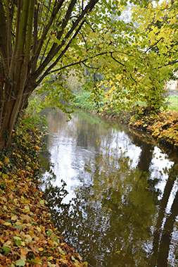 Bild: Schulpforte Kleine Saale (Foto: W. Bettauer)