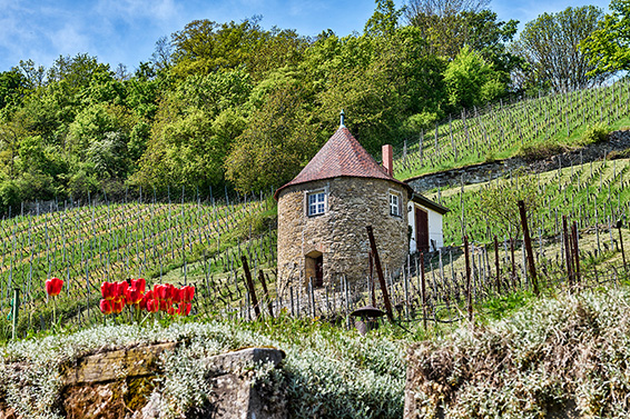 Bild: Weinberghaus (Foto: C. Böttger)